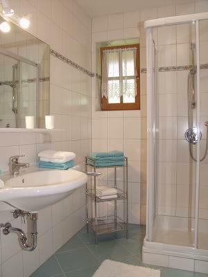 Appartement Jackie Eschbacher Wagrain Dış mekan fotoğraf
